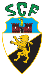 深圳新鹏城